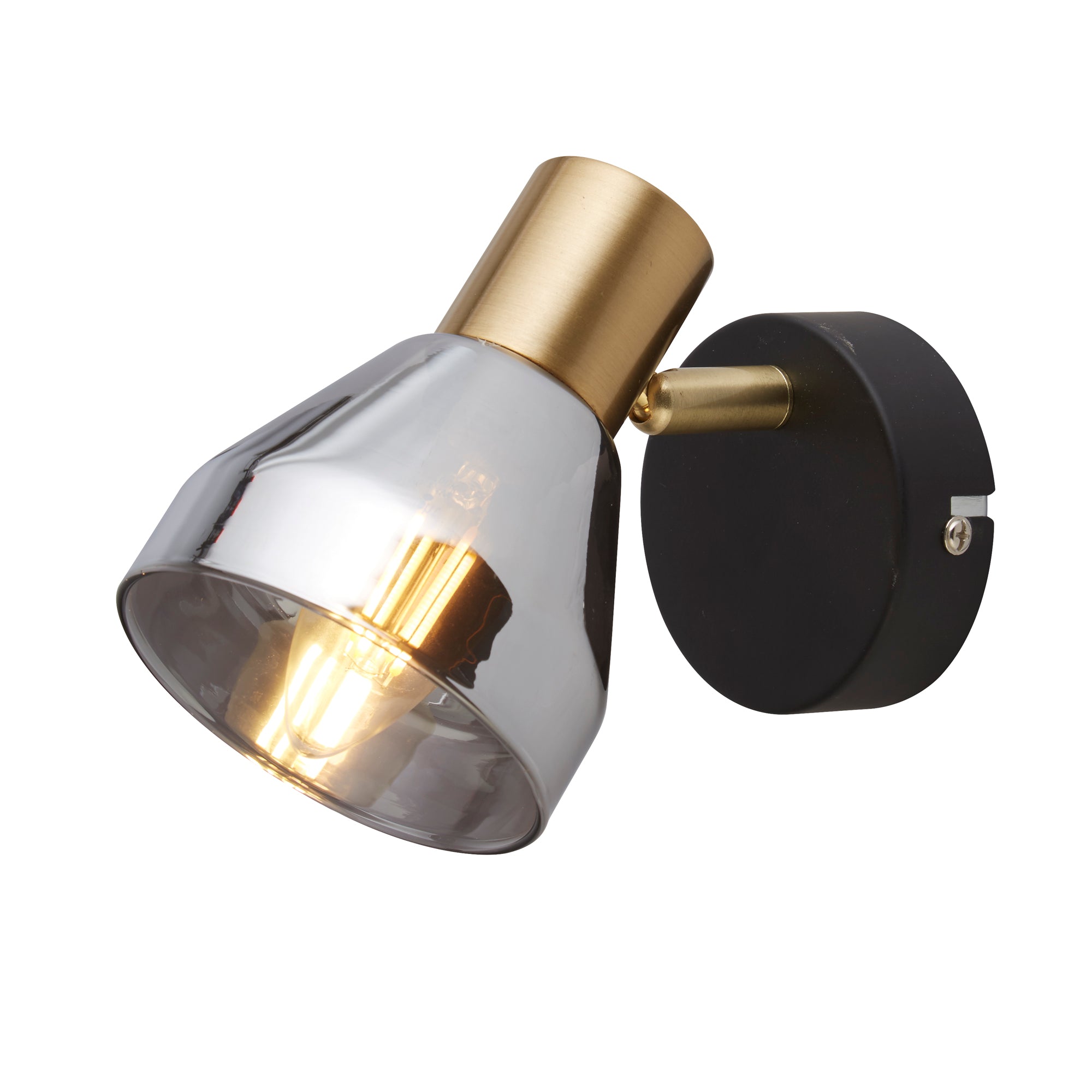Westminster Spotlight - Black, Satin Brass Metal & Smoked