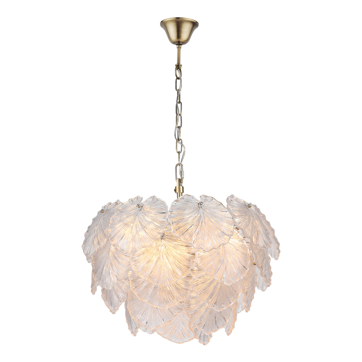 COURTNEY 10LT PENDANT GLASS & ANT BRA