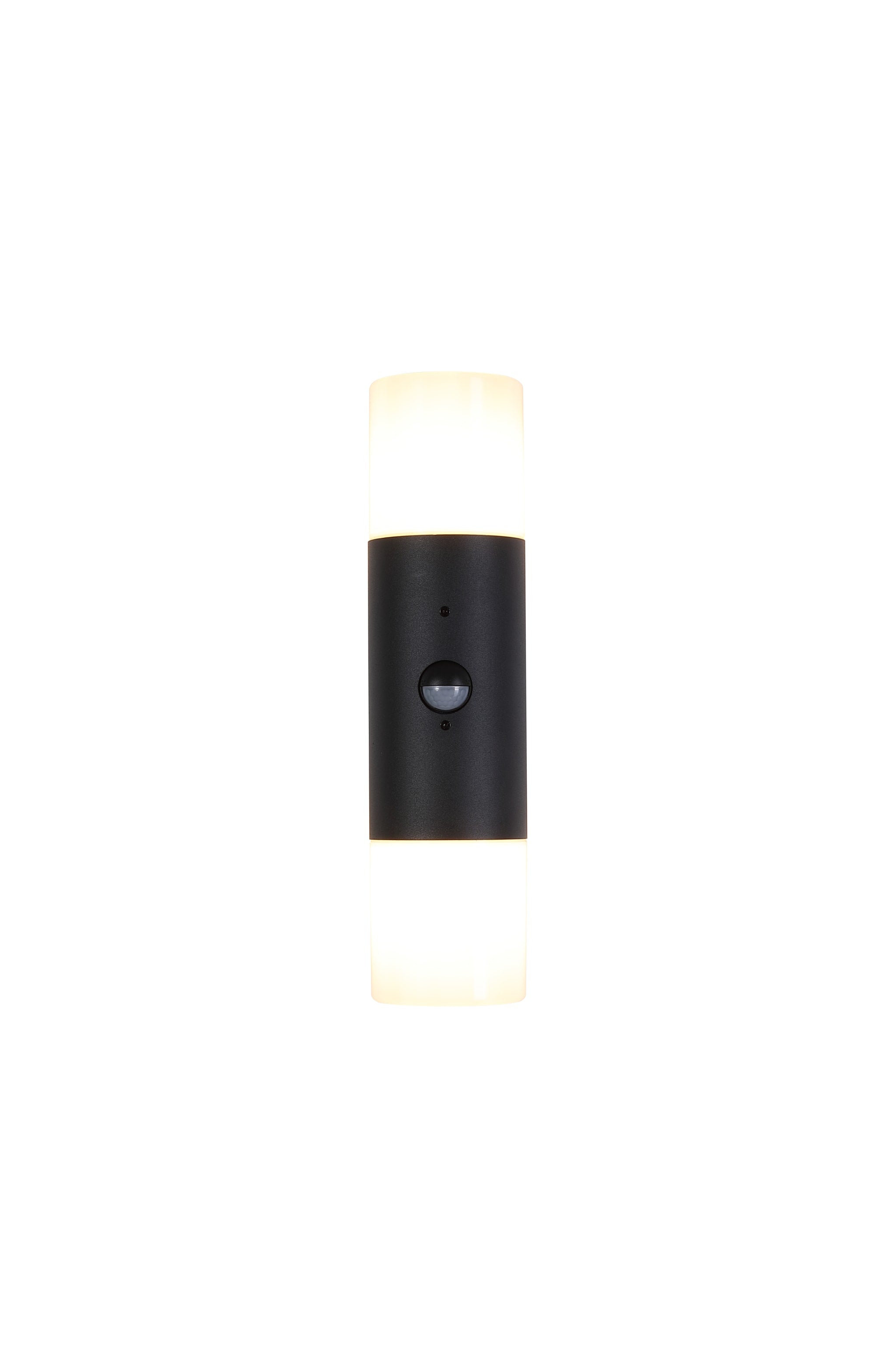 Colorado LED Outdoor Up/Down Wall Light, Aluminium & PC