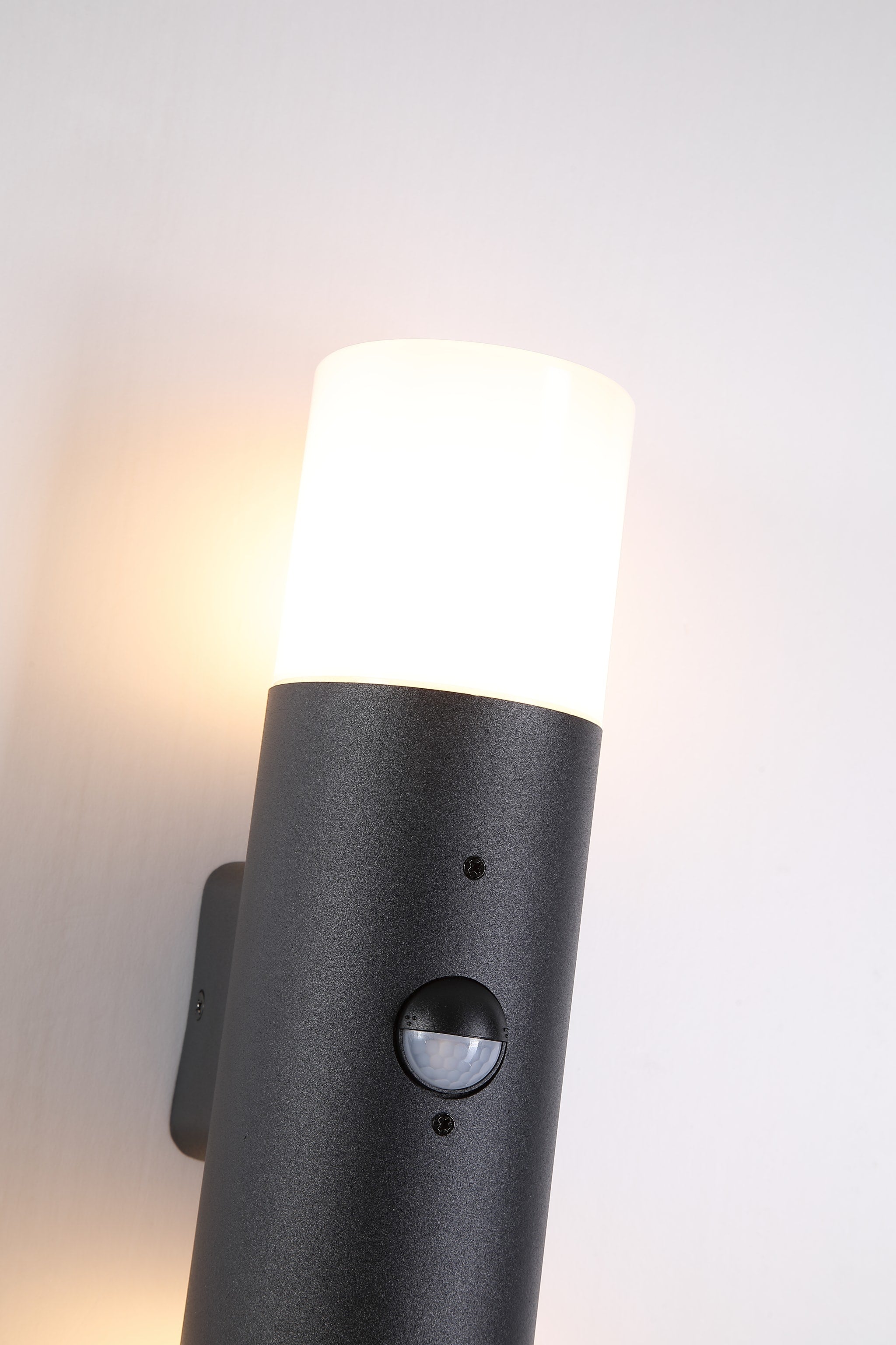 Colorado LED Outdoor Up/Down Wall Light, Aluminium & PC