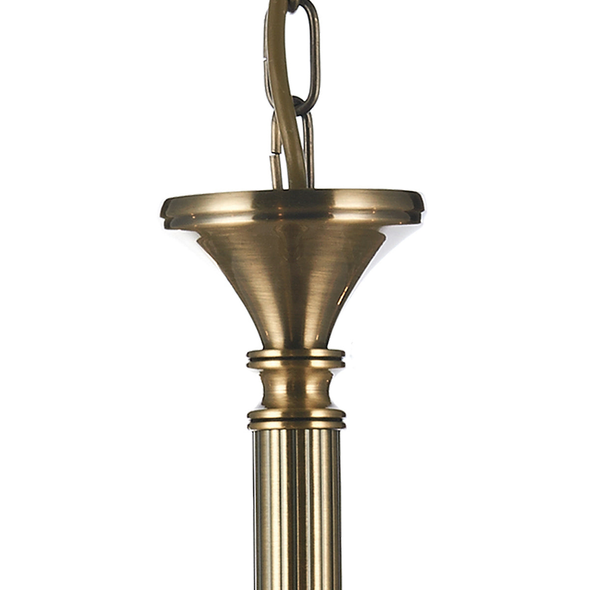 AMBASSADOR 8LT DUAL MOUNT PENDANT ANT BRA