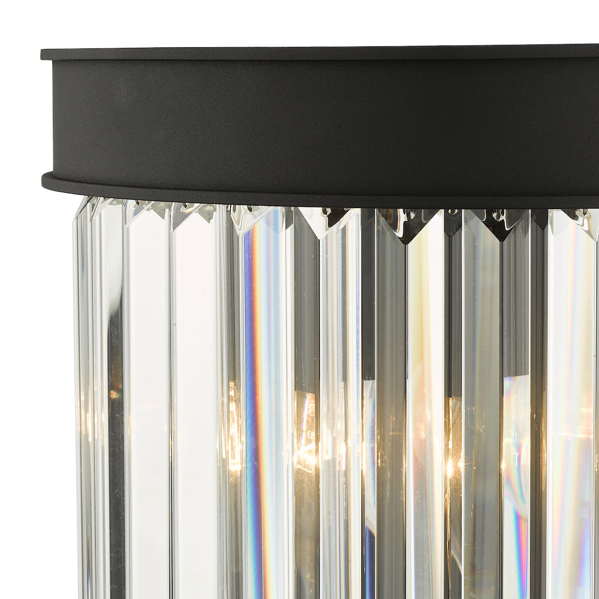 CELEUS 2LT W/LT BLACK AND CLEAR