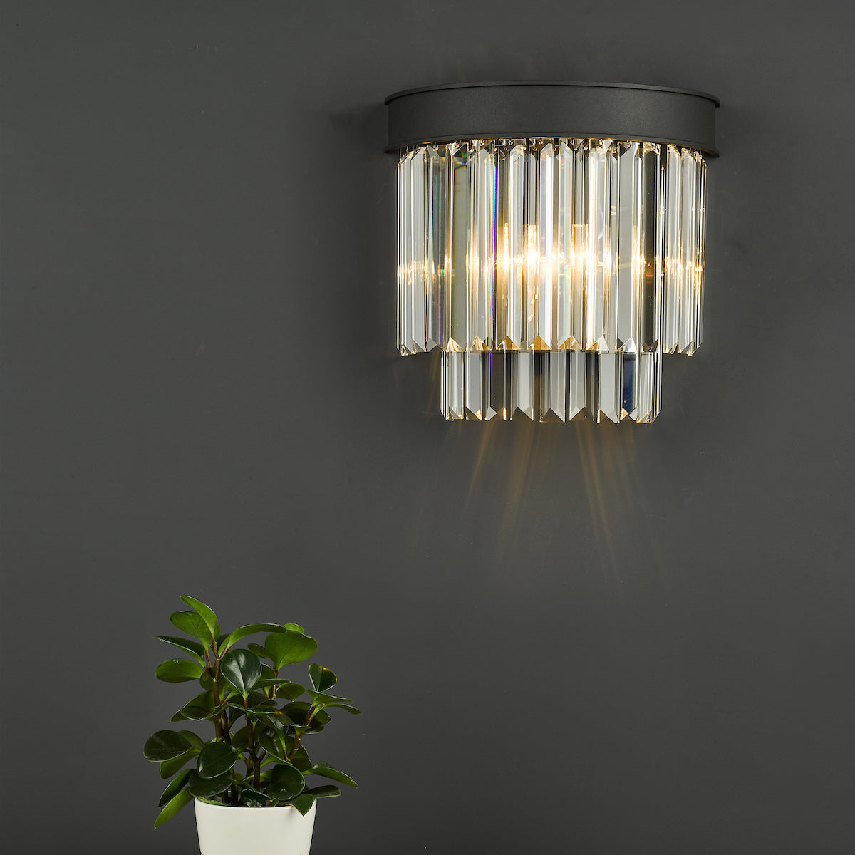 CELEUS 2LT W/LT BLACK AND CLEAR