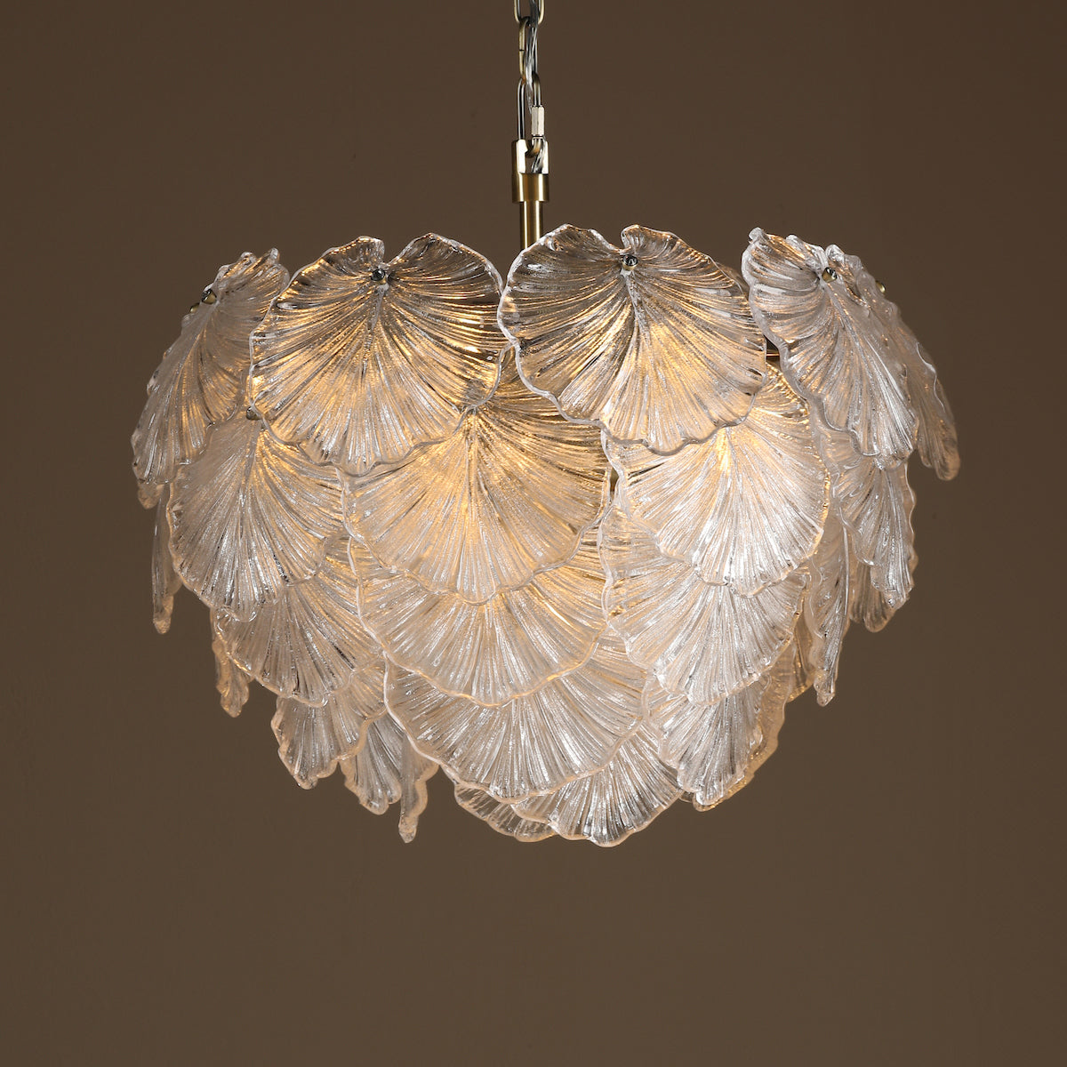 COURTNEY 10LT PENDANT GLASS & ANT BRA