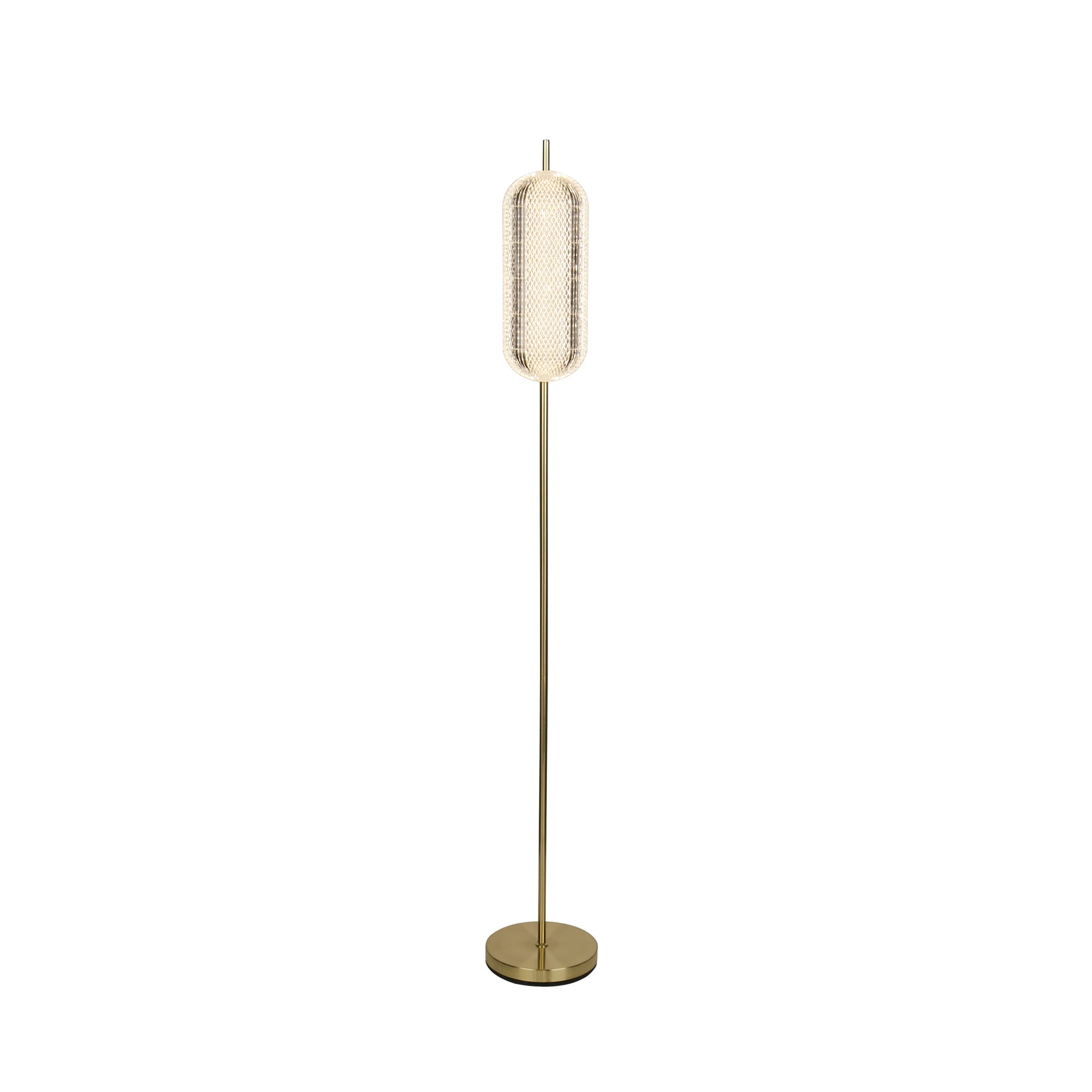 Capsule LED Floor Lamp, Satin Brass Metal and Acrylic Shade