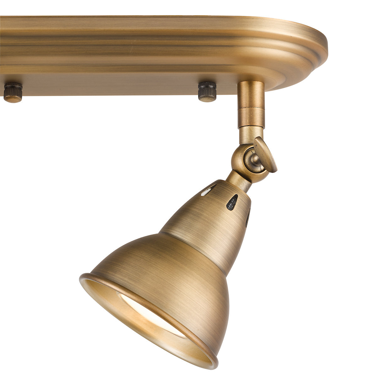NATHANIEL 2LT PLATE SPOTLIGHT AGED BRASS