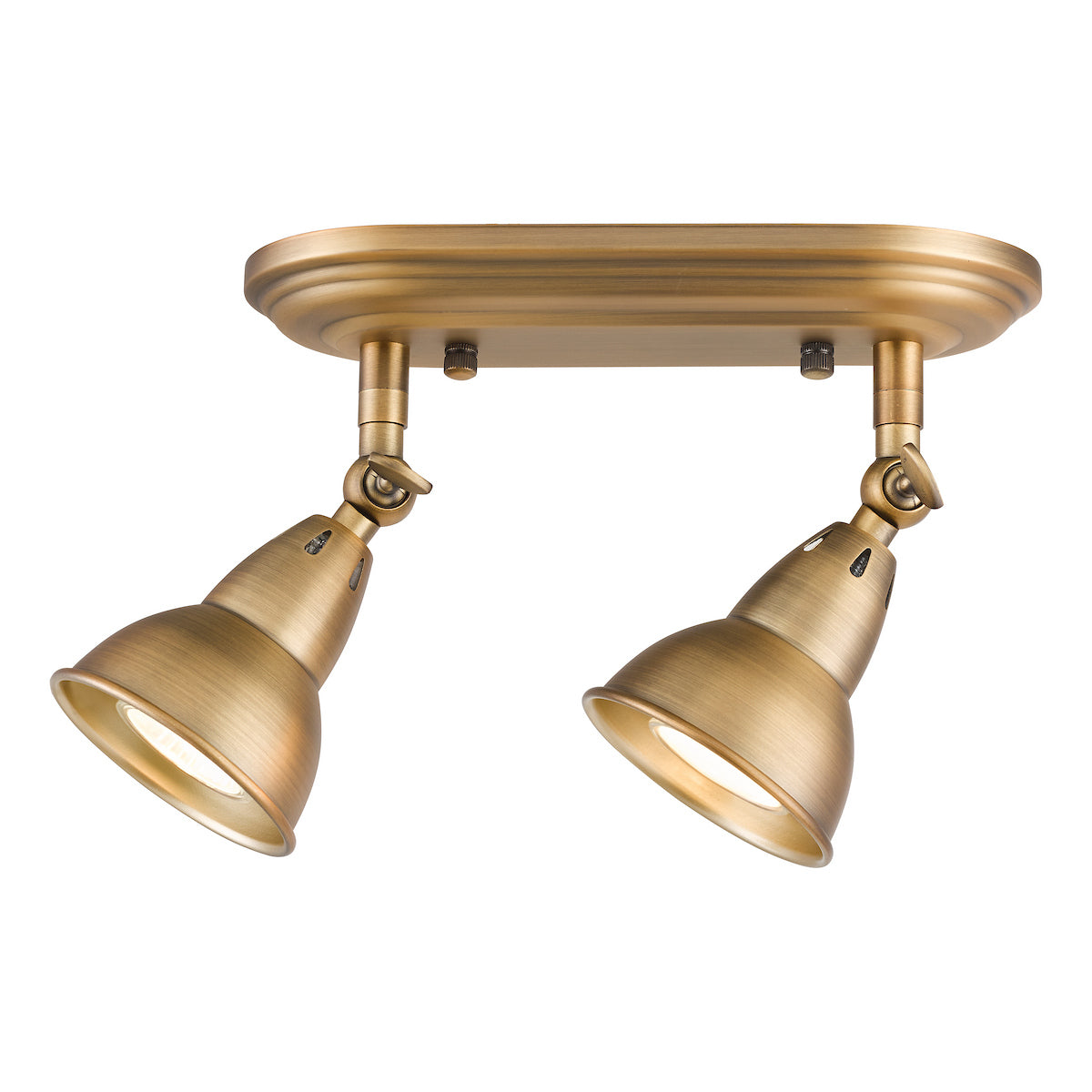 NATHANIEL 2LT PLATE SPOTLIGHT AGED BRASS
