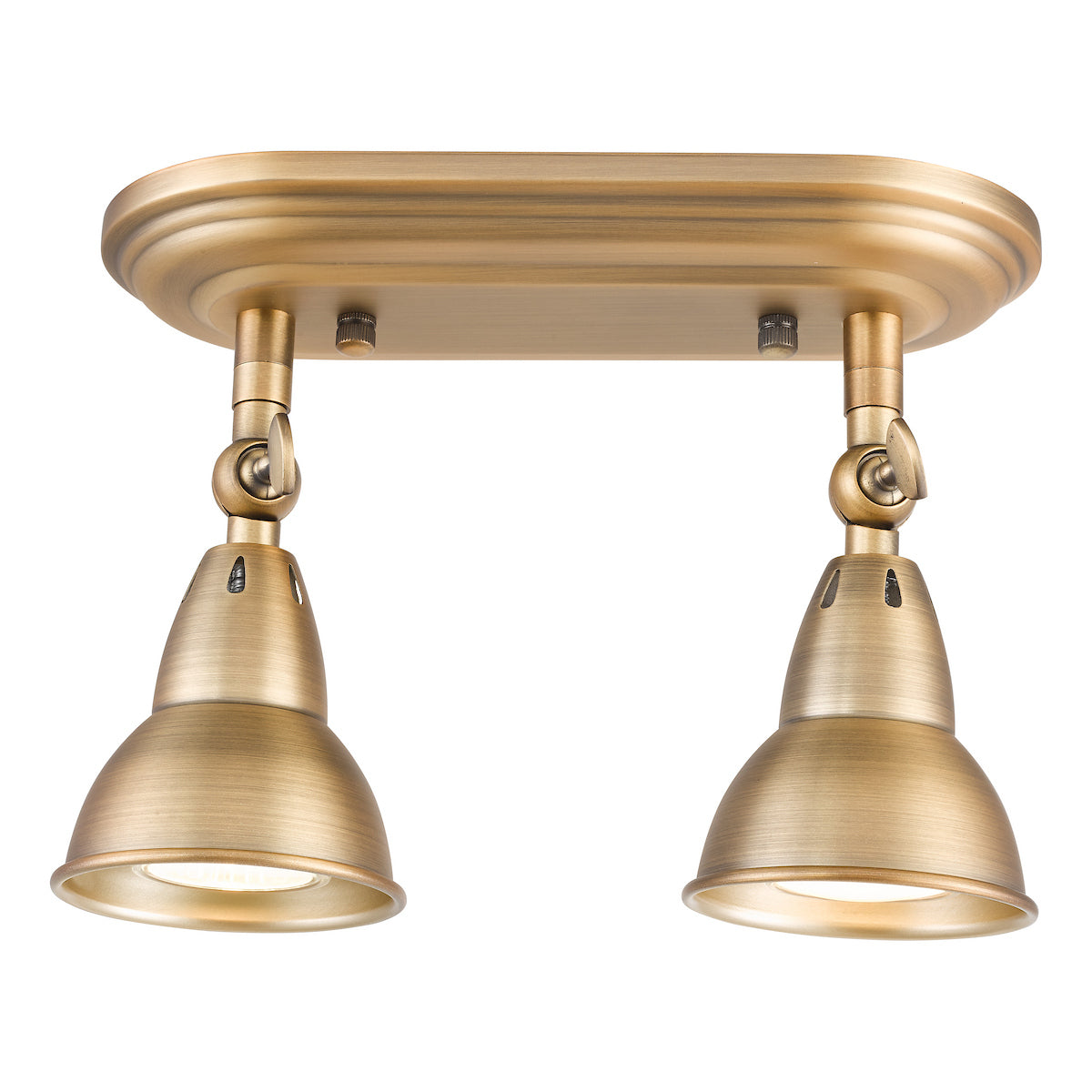 NATHANIEL 2LT PLATE SPOTLIGHT AGED BRASS
