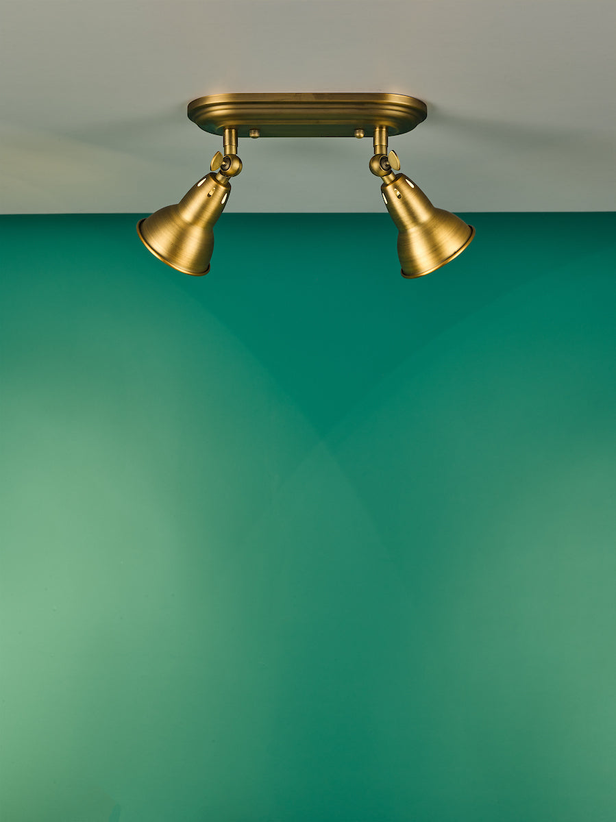NATHANIEL 2LT PLATE SPOTLIGHT AGED BRASS