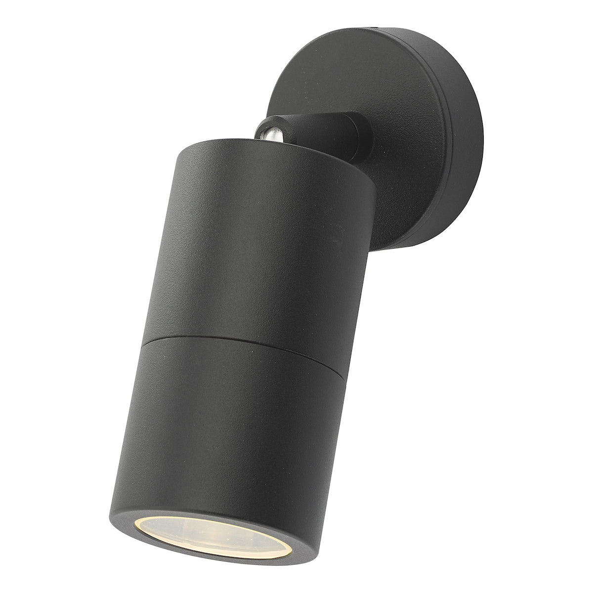 ORTEGA 1LT W/LT BLACK ADJUSTABLE IP65