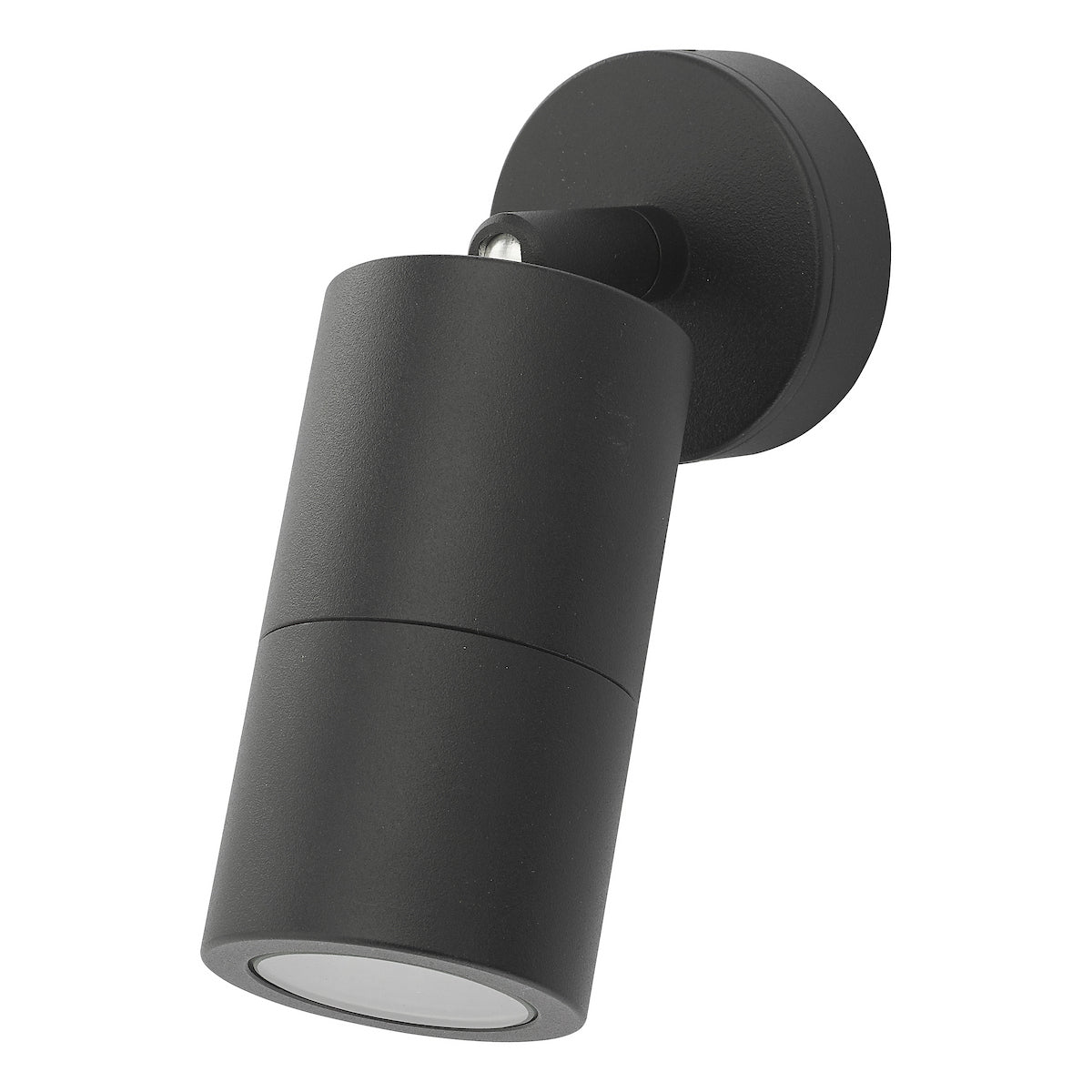 ORTEGA 1LT W/LT BLACK ADJUSTABLE IP65