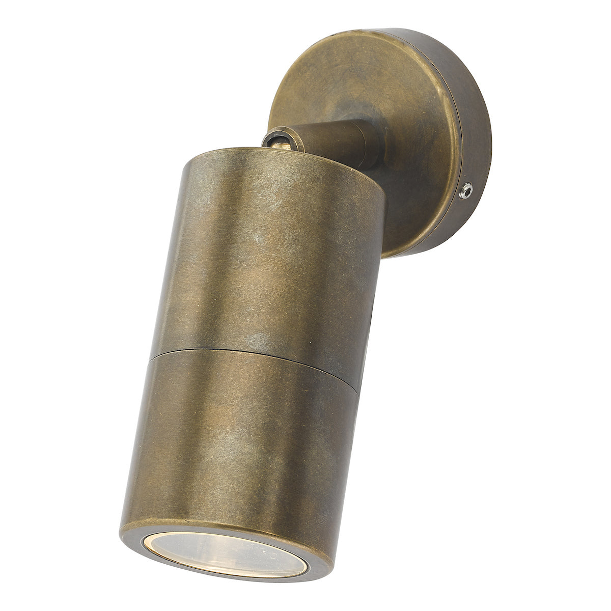 ORTEGA 1LT W/LT ANT BRA ADJUSTABLE IP65