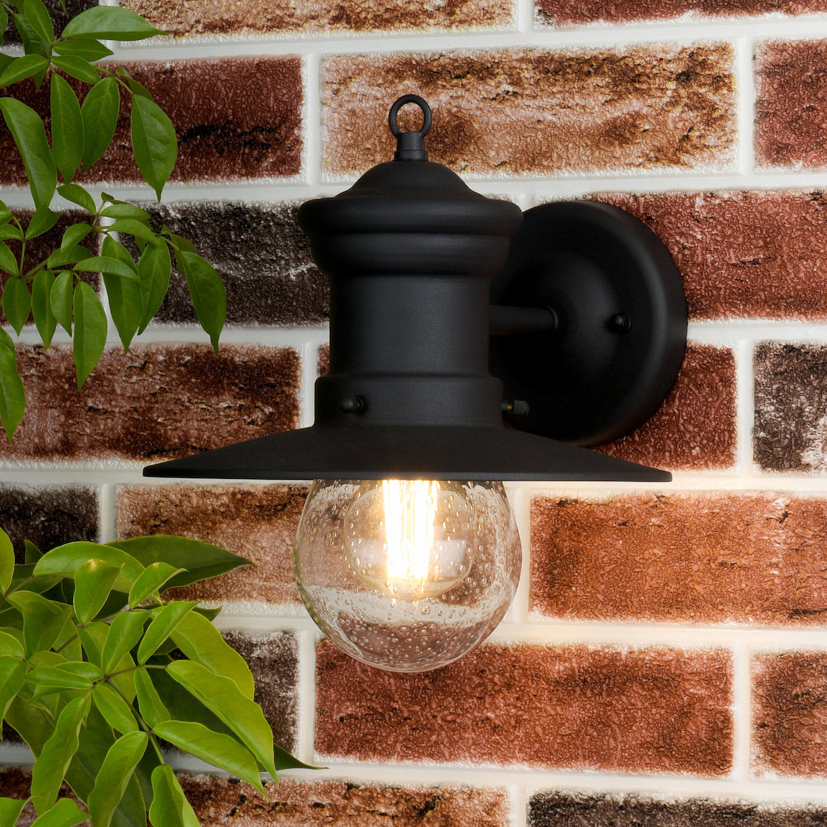 SEDGEWICK 1LT LTN BLK DOWN FACING IP44