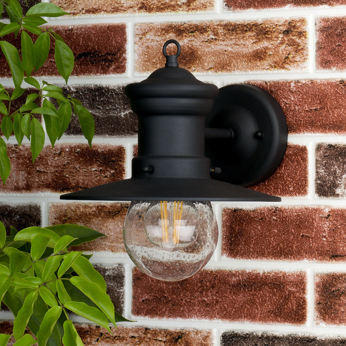 SEDGEWICK 1LT LTN BLK DOWN FACING IP44