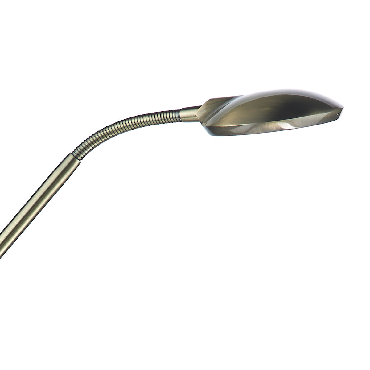 WELLINGTON FL ANT BRA LED