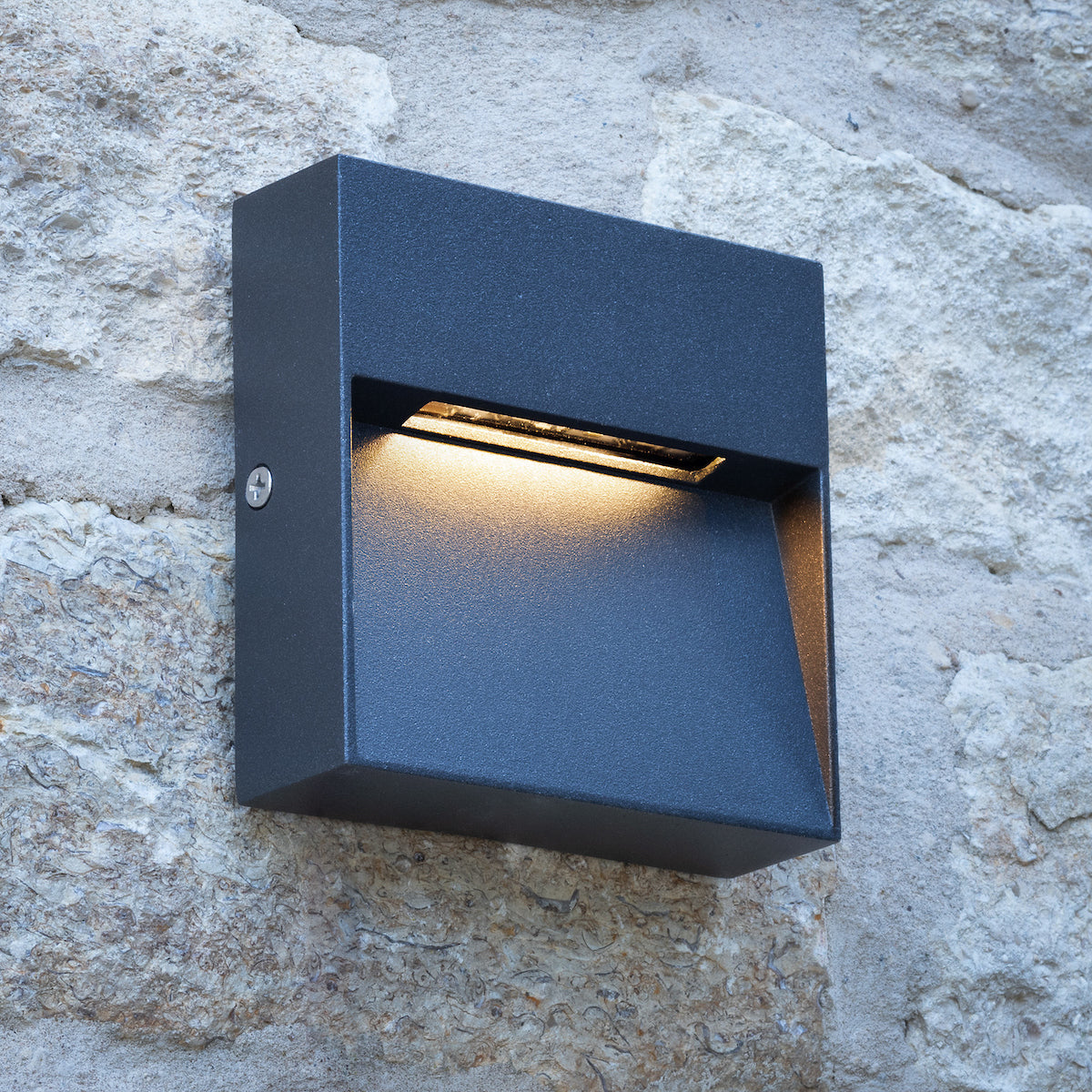YUKON 1LT W/LT SQUARE EYELID ANTHRACITE IP65 LED