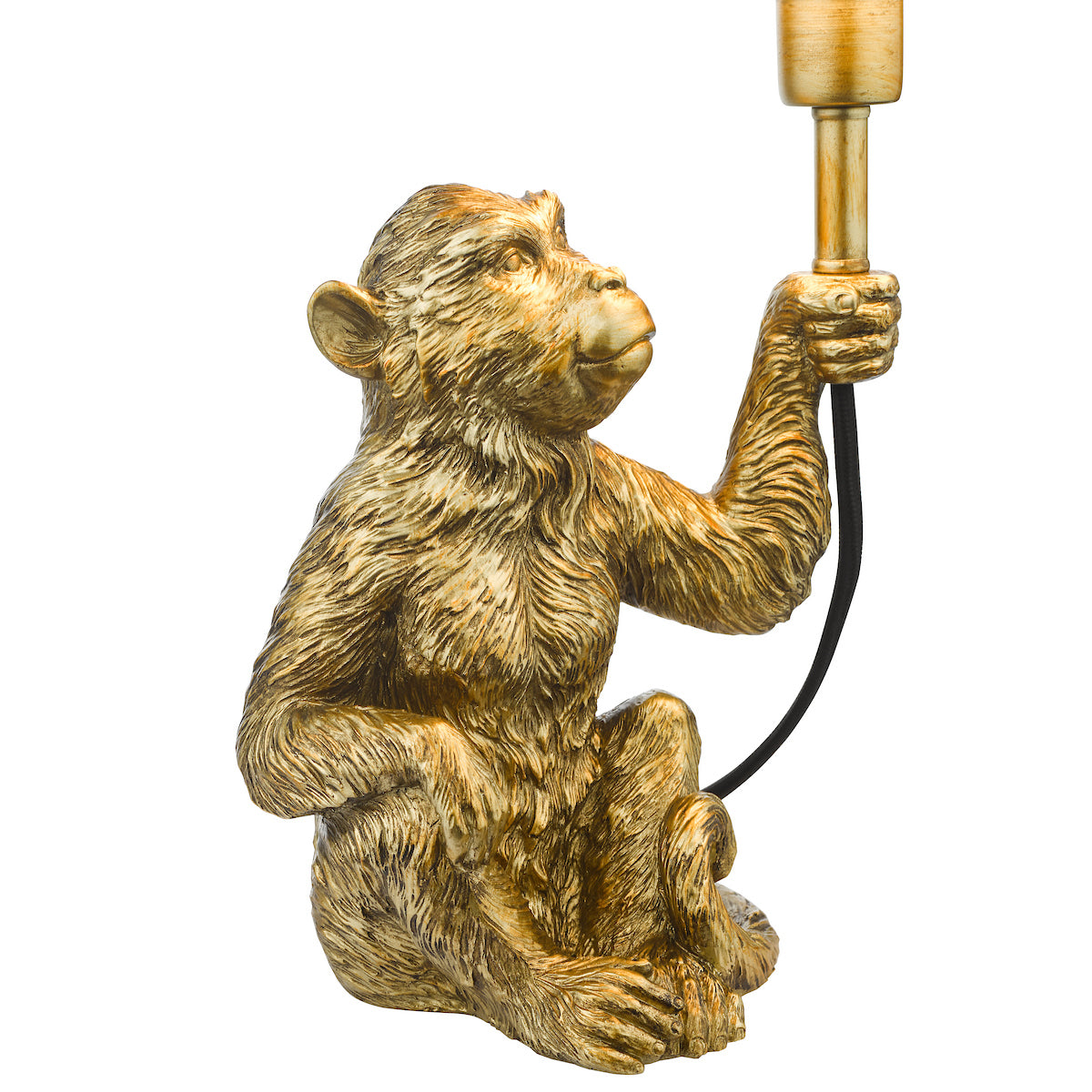 ZIRA TL GOLD MONKEY CW SHD